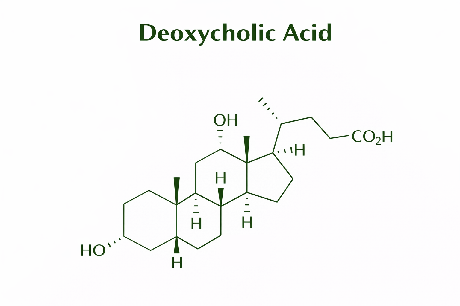 Deoxycholic Acid