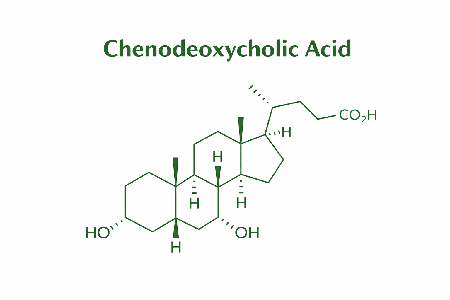 Chenodeoxycholic acid