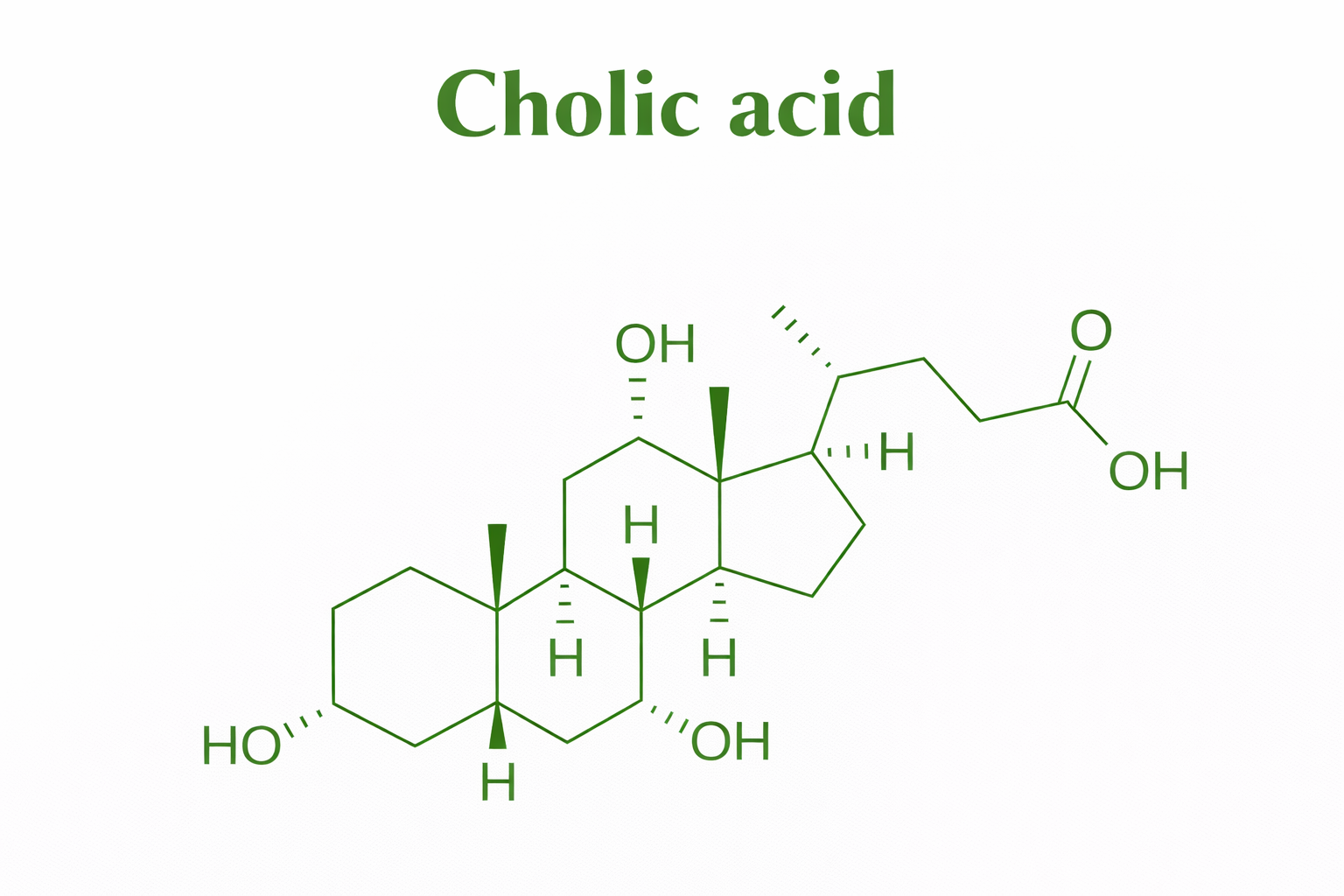 cholic acid
